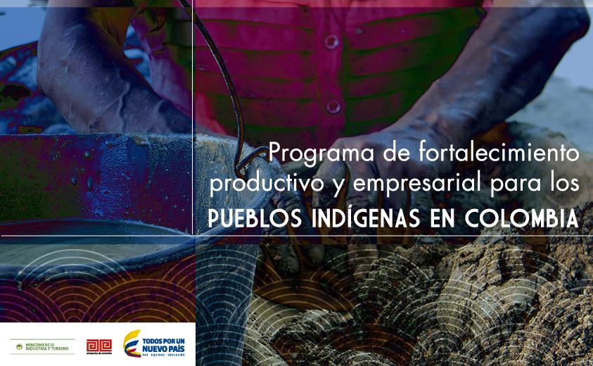 Programa De Fortalecimiento Productivo y Empresarial Para Pueblos Indígenas