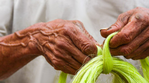 Foto de las manos de un indígena kankuamo anudando la fibra de fique extraída de una penca de maguey