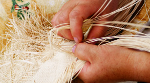 Artesano tejiendo sombrero en Palma de Iraca