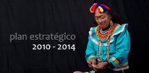 Imagen Plan Estratégico 2010-2014 Artesanías de Colombia