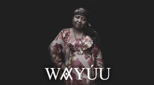 Chinchorros, mochilas y encierro: La historia de las Wayúu