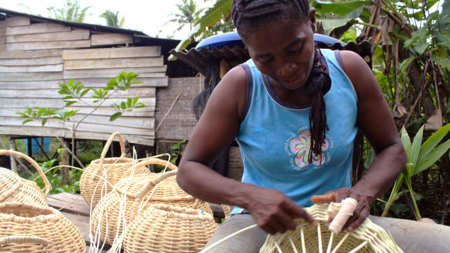 Eliodora Angulo Eliodora Angulo