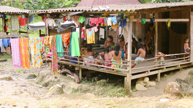 Marleny Tunay Marleny Tunay