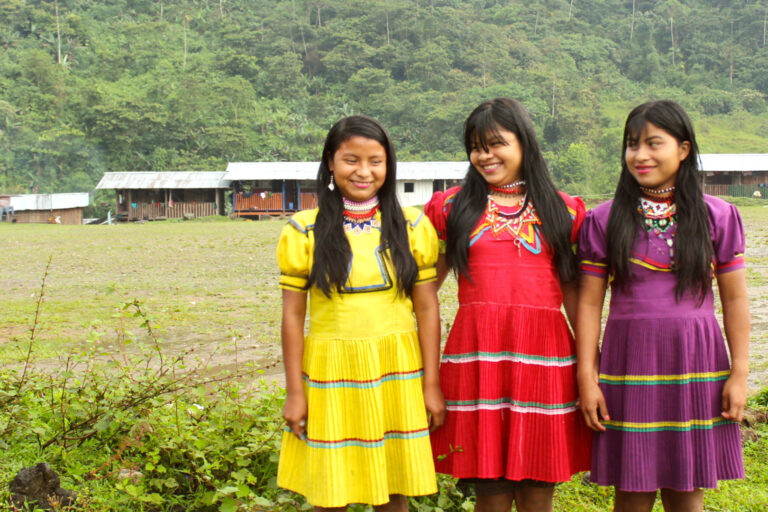 Resguardo emberá katío de La Puria Resguardo emberá katío de La Puria