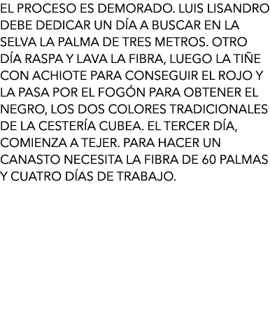 El proceso es demorado. Luis Lisandro debe dedicar un día a buscar en la selva la palma de tres metros. Otro día rasp...