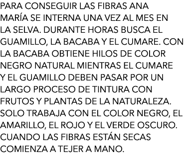 Para conseguir las fibras Ana María se interna una vez al mes en la selva. Durante horas busca el guamillo, la bacaba...