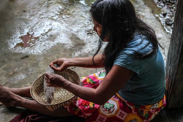 TEJEDURÍA EN CHAQUIRA TEJEDURÍA EN CHAQUIRA
